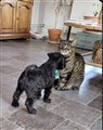 IMG_0224.jpeg