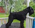 IMG_0337.jpeg