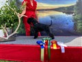 IMG_20240629_182821_182822.jpg